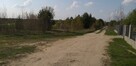 1,57ha sprzedam tanio ! - 6