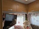 Kamper Fiat Ducato silnik 2,8 2003 rok, mały przebieg - 3