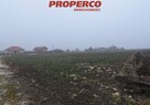 Działka Jędrzejów Potok Mały - 3