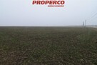 Działka Jędrzejów Potok Mały - 5