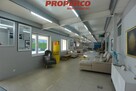 Lokal użytkowy Starachowice Wierzbnik - 7
