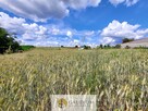 Wyjątkowe gospodarstwo z domem | Kaszuby gm. Brusy - 7