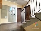 Stawigudzka, 2 pok., parter z widokiem na łąkę - 14