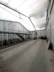 Lokal użytkowy Poznań Poznań-Nowe Miasto, Antoninek, Radziwoja - 8