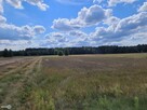 Działka rekreacyjna Kluczewsko Stanowiska - 2
