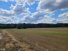 Działka rekreacyjna Kluczewsko Stanowiska - 11