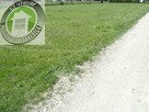 Działka budowlana Brzezna gm. Podegrodzie - 4