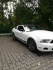 Ford Mustang 3.7 V6 Cyclone 305 KM | Bogata wersja PREMIUM | - 11