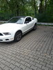 Ford Mustang 3.7 V6 Cyclone 305 KM | Bogata wersja PREMIUM | - 8