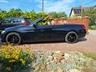 BMW 320 Kabrio Navi Xenon Tempomat Klimatronik Bezwypadkowy Stan Wzorowy - 12