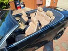 BMW 320 Kabrio Navi Xenon Tempomat Klimatronik Bezwypadkowy Stan Wzorowy - 13