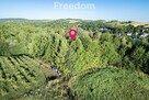 Malownicza działka z własnym lasem (43 ar) - 6