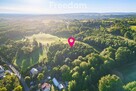 Malownicza działka z własnym lasem (43 ar) - 8
