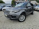 Land Rover Range Rover Evoque 4X4,2.0 D150KM, FULLOpcja,Igła ,Możliwa zamiana,GWARANCJA- AUTOMI-X.PL - 3