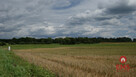 Działka siedliskowa Burczak gm. Czarna Białostocka, - 4