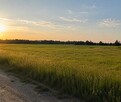 Opole - duża działka budowlana na sprzedaż