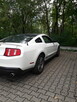 Ford Mustang 3.7 V6 Cyclone 305 KM | Bogata wersja PREMIUM | - 10
