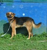 Diego - 2