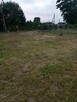 Rybnik -Działka - wynajem