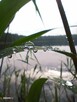Szukam Pani do rozmowy