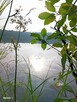 Szukam Pani do rozmowy - 2