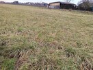 Zamienię działkę budowlaną w Kampinosie na domek z działką