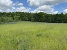 Sprzedam działkę Mazury - 3