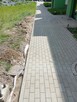KOMPLEKSOWE USŁUGI BRUKARSKIE: Olsztyn i okolice - 11