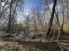 Na sprzedaż Pałac w Skórzynie! - 12