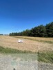 Działka rolna 9 979 m² – Woźniki, gm. Lgota Wielka - 2
