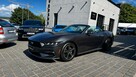 Ford Mustang Cabrio 2.3 290KM Wentyle Radar Kamera Grzana kiera Skóry biało-czarne