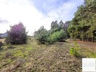 DZIAŁKA 2935 m² POD LASEM – BIEŃKI-ŚMIETANKI, GM. SOŃSK - 6