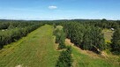 Działka budowlana Starcza - 7