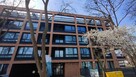 Apartamenty nad morzem od Syndyka - Mielno - 6