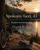 Spokojny facet 43 lata szuka normalnej relacji