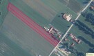 Działka budowlana Karwów gm. Trzebieszów - 2