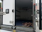 IVECO daily 72c18 himatic, xarios 350, winda - 8