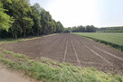 Działka przy lesie – Tyniec Mały, ul. Parkowa