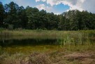 Piękna działka koło lasu z własnym jeziorkiem | - 2