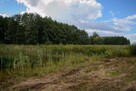 Piękna działka koło lasu z własnym jeziorkiem | - 14