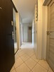 3 pokoje/Winda /Balkon/Piwnica/Top lokalizacja - 5