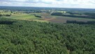 Działka leśna Nakły gm. Olszewo-Borki - 3