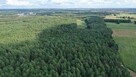 Działka leśna Nakły gm. Olszewo-Borki - 4