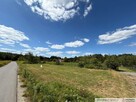 Działka z WZ, 37 a, Zasów, gm. Żyraków - 2