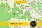 Las w Nakłach. 2,25 ha: sosna 47-75 lat