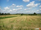 Działka do wynajęcia w Surażu