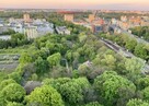 2-pokojowe mieszkanie w Śródmieściu - 11