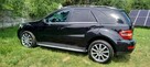 Mercedes ML 320 - 10