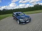 Mercedes E 220 2,2CDTI Navigacja.Automat.Serwis.Ledy.Alufelgi.Zarejestrowany! - 10