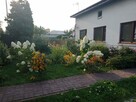 Dom 140 m2  na działce 822 m2 ul. Gajowa Radom. - 3